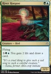 River Hoopoe - Foil