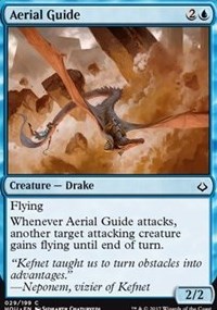 Aerial Guide - Foil