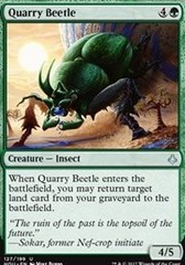 Quarry Beetle