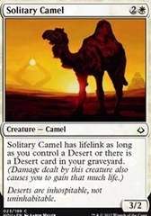 Solitary Camel