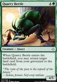 Quarry Beetle - Foil