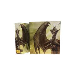 Dragon Shield Slipcase Binder - White