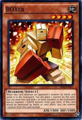 BOXer - SR03-EN017 - Common - Unlimited Edition