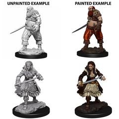 Pathfinder Battles Unpainted Minis - Pirates