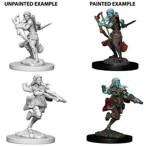 D&D Nolzurs Marvelous Miniatures: Air Genasi Female Rogue