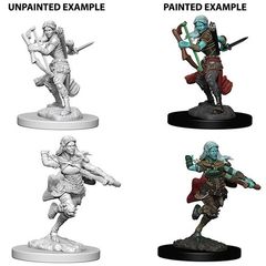 D&D Nolzur's Marvelous Miniatures: Air Genasi Female Rogue