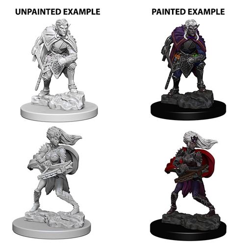 D&D Nolzurs Marvelous Miniatures: Drow