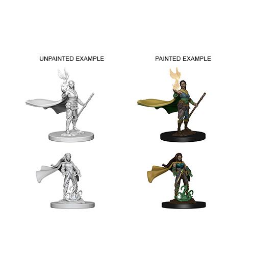 D&D Nolzurs Marvelous Miniatures: Elf Female Druid