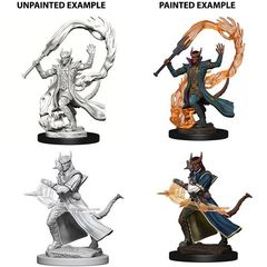 D&D Nolzur's Marvelous Miniatures: Tiefling Sorcerer (Male) (73201)