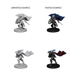 Pathfinder Battles Unpainted Minis - Elf Female Paladin