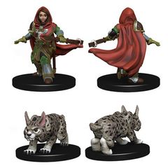 Wizkids Pre-Painted Miniatures: Girl Ranger And Lynx