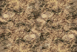 Desert Terrain 6 x 4
