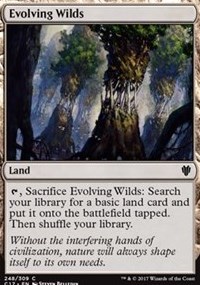 Evolving Wilds