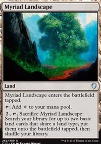 Myriad Landscape