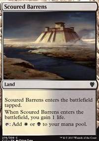 Scoured Barrens