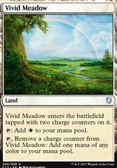 Vivid Meadow