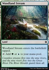 Woodland Stream