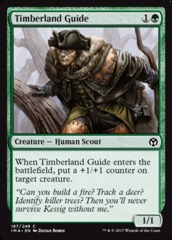 Timberland Guide - Foil