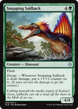 Snapping Sailback - Foil