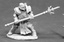 Dark Heaven: Crusader Defender