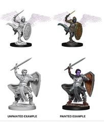 D&D Nolzur's Marvelous Miniatures: Aasimar Male Paladin