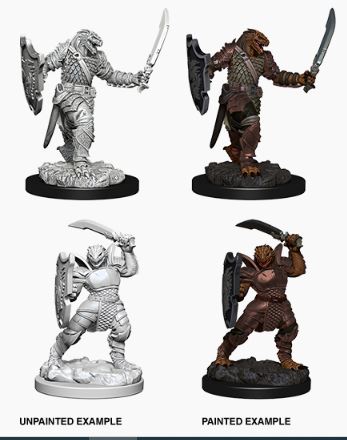 D&D Nolzurs Marvelous Miniatures: Dragonborn Female Paladin