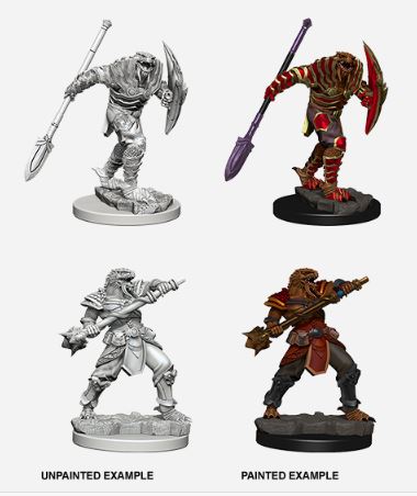 D&D Nolzurs Marvelous Miniatures: Dragonborn Male Fighter Varia