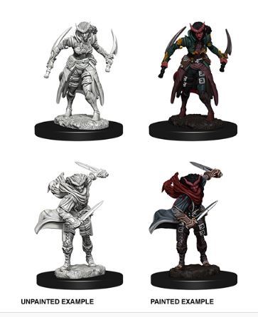 D&D Nolzurs Marvelous Miniatures: Tiefling Female Rogue