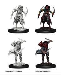 D&D Nolzur's Marvelous Miniatures: Tiefling Female Rogue