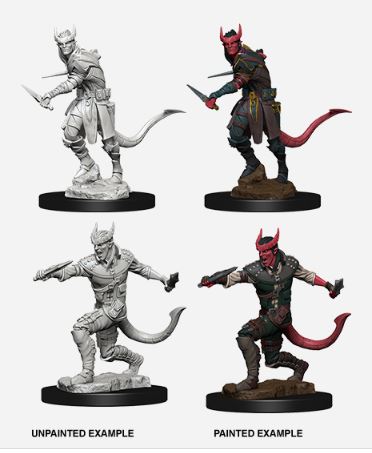 Tiefling Rogue Male (Nolzurs - W05)