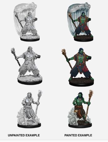 D&D Nolzurs Marvelous Miniatures: Water Genasi Male Druid