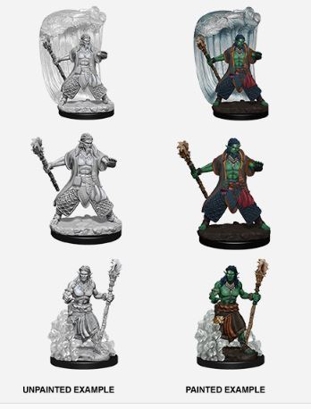 D&D Nolzurs Marvelous Miniatures: Water Genasi Male Druid