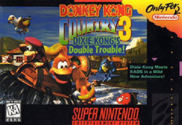 Donkey Kong Country 3