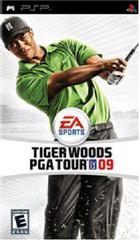 Tiger Woods 2009