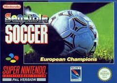 Sensible Soccer: International Edition
