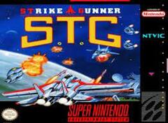 Super Strike Gunner