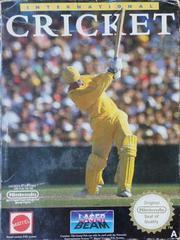 International Cricket