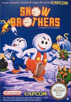 Snow Brothers