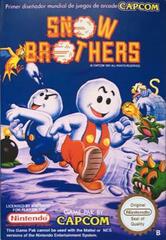 Snow Brothers