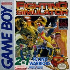 2 In 1: Flying Warriors / Fighting Simulator