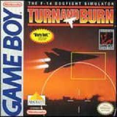 Turn And Burn The F-14 Dogfight Simulator