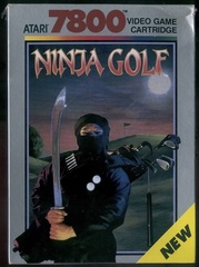 Night of the Ninja