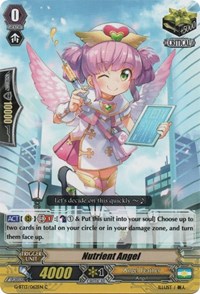 Nutrient Angel - G-BT13/062EN - C