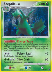 Sceptile - 10/100 - Holo Rare