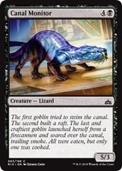 Canal Monitor - Foil