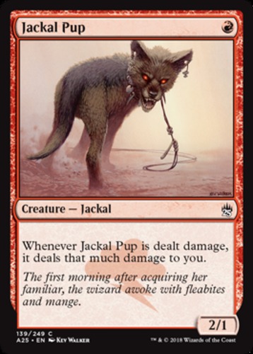 mtg jackal cards Magic the Gathering [020] TEMPEST Single Card