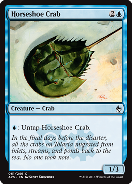 Horseshoe Crab - Foil