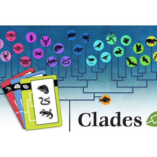 Clades