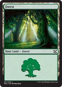 Forest (31)