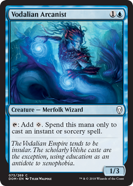 Vodalian Arcanist - Foil